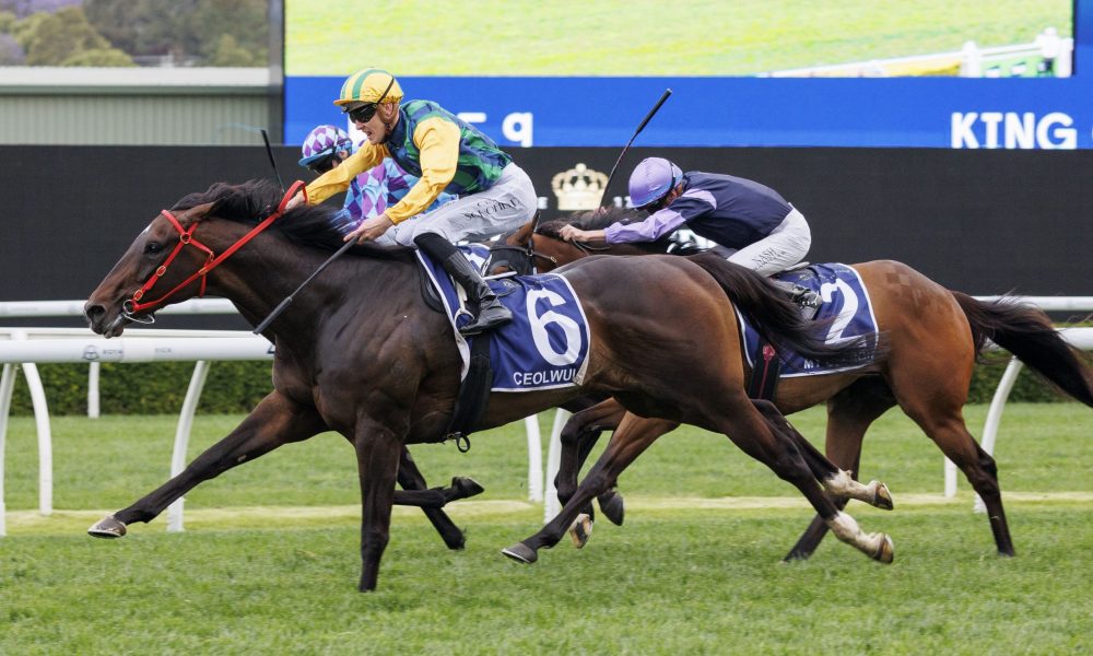 斩获荣誉 斩获荣誉