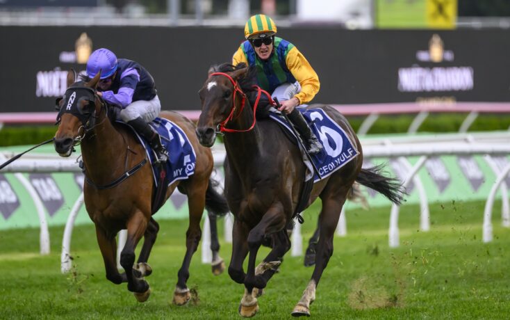 赛地的雪质 赛地的雪质