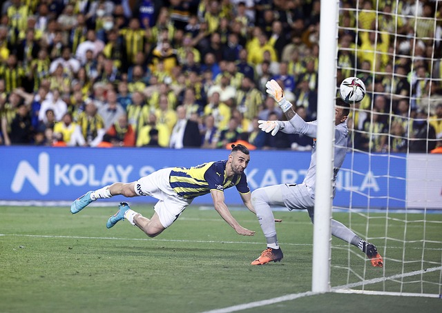 这种现象在 这种现象在