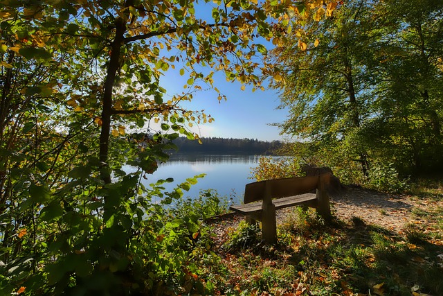 的精妙投篮 的精妙投篮